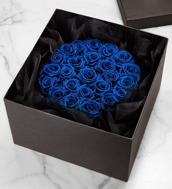 Magnificent Roses® Preserved  Blue Velvet Roses